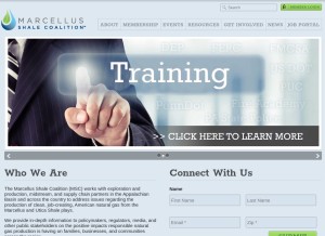 How marcelluscoalition.org looks like on a tablet such as an iPad.