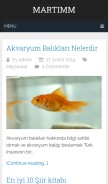 How martimm.com looks like on a mobile device such as an iPhone.