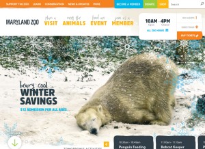 How marylandzoo.org looks like on a tablet such as an iPad.