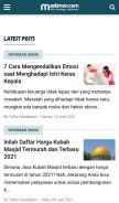 How mastimon.com looks like on a mobile device such as an iPhone.