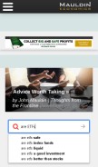 How mauldineconomics.com looks like on a mobile device such as an iPhone.