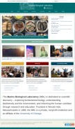 How mbl.edu looks like on a mobile device such as an iPhone.