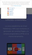How mdirector.com looks like on a mobile device such as an iPhone.