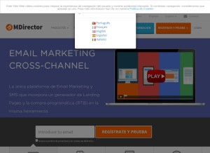 How mdirector.com looks like on a tablet such as an iPad.