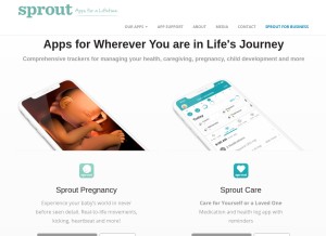 How medart-studios.com looks like on a tablet such as an iPad.
