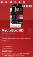 How mediaboxhd.net looks like on a mobile device such as an iPhone.