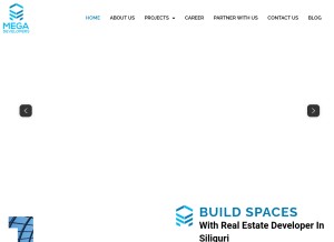 How megadeveloper.in looks like on a tablet such as an iPad.