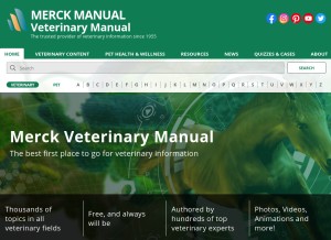 How merckvetmanual.com looks like on a tablet such as an iPad.