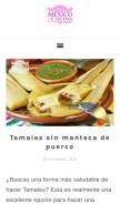 How mexicoenmicocina.com looks like on a mobile device such as an iPhone.