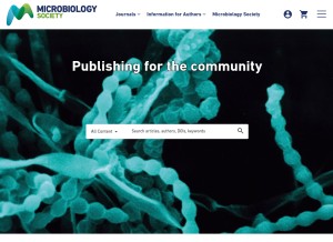 How microbiologyresearch.org looks like on a tablet such as an iPad.