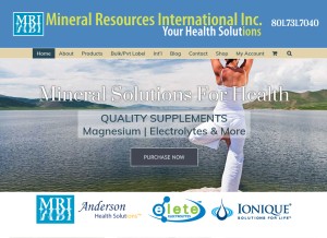 How mineralresourcesint.com looks like on a tablet such as an iPad.