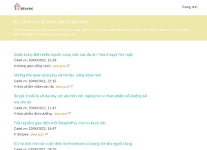 How minviet.com looks like on a tablet such as an iPad.