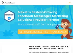 How mobilemonkey.com looks like on a tablet such as an iPad.