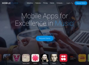 How mobileroadie.com looks like on a tablet such as an iPad.