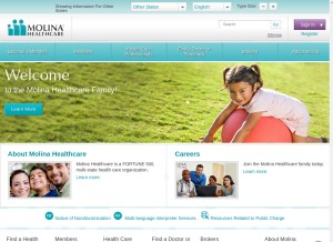How molinahealthcare.com looks like on a tablet such as an iPad.