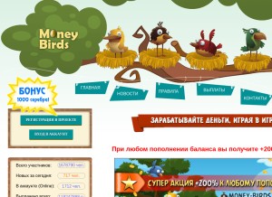 How moneybirds.org looks like on a tablet such as an iPad.