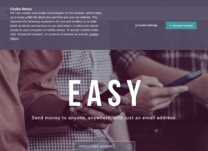 How moneybookers.com looks like on a tablet such as an iPad.