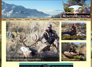 How monstermuleys.com looks like on a tablet such as an iPad.