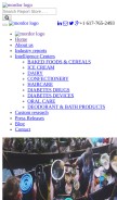 How mordorintelligence.com looks like on a mobile device such as an iPhone.