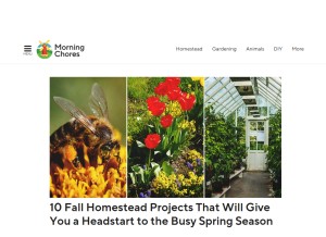 How morningchores.com looks like on a tablet such as an iPad.