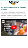 How mosaicco.com looks like on a mobile device such as an iPhone.
