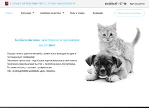 How mosvetcenter.ru looks like on a tablet such as an iPad.