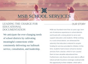 How msbconnect.com looks like on a tablet such as an iPad.