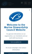 How msc.org looks like on a mobile device such as an iPhone.