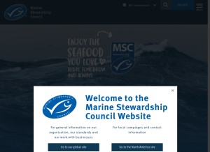 How msc.org looks like on a tablet such as an iPad.