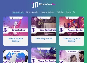 How muzikdinledur.com looks like on a tablet such as an iPad.