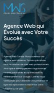 How mws-services.com looks like on a mobile device such as an iPhone.