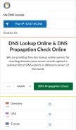 How mydnslookup.com looks like on a mobile device such as an iPhone.