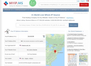 How myip.ms looks like on a tablet such as an iPad.