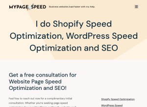 How mypagespeed.com looks like on a tablet such as an iPad.