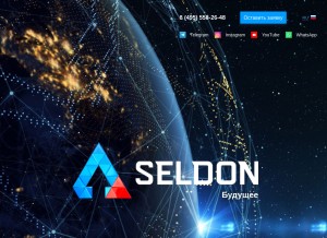 How myseldon.com looks like on a tablet such as an iPad.