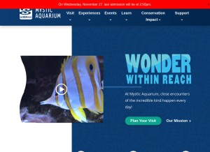 How mysticaquarium.org looks like on a tablet such as an iPad.