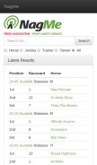 How nagme.com looks like on a mobile device such as an iPhone.