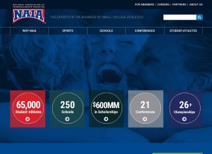 How naia.org looks like on a tablet such as an iPad.