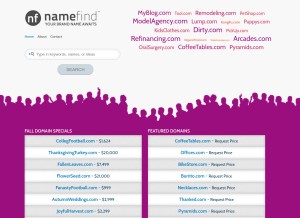 How namefind.com looks like on a tablet such as an iPad.
