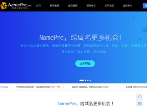 How namepre.com looks like on a tablet such as an iPad.
