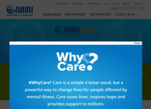 How nami.org looks like on a tablet such as an iPad.