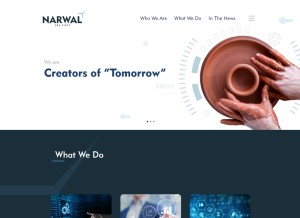 How narwalinc.com looks like on a tablet such as an iPad.