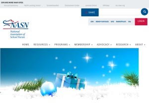 How nasn.org looks like on a tablet such as an iPad.