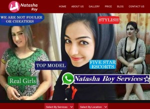 How natasharoy.net looks like on a tablet such as an iPad.
