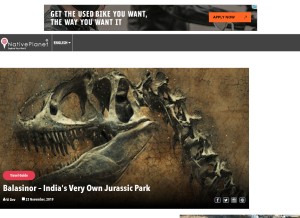 How nativeplanet.com looks like on a tablet such as an iPad.