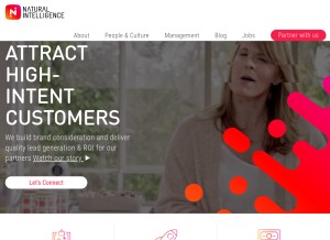 How naturalint.com looks like on a tablet such as an iPad.
