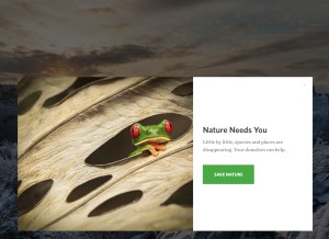 How nature.org looks like on a tablet such as an iPad.