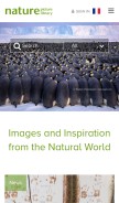 How naturepl.com looks like on a mobile device such as an iPhone.