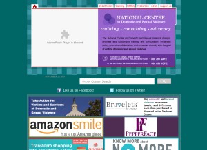 How ncdsv.org looks like on a tablet such as an iPad.