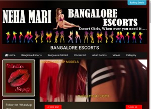 How nehamari.com looks like on a tablet such as an iPad.